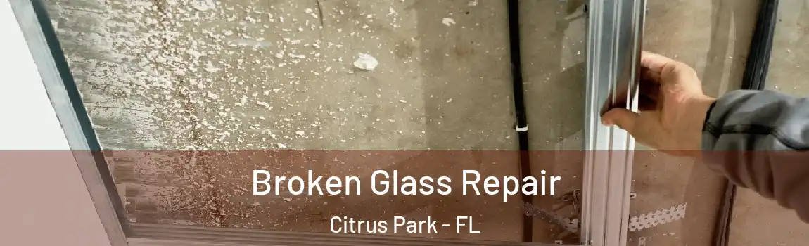Broken Glass Repair Citrus Park - FL