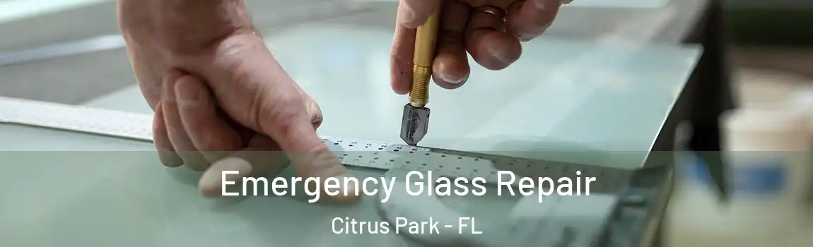 Emergency Glass Repair Citrus Park - FL