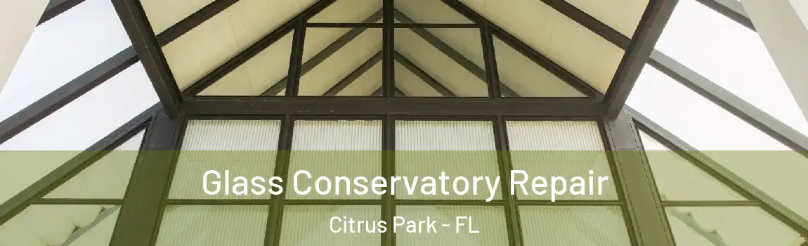 Glass Conservatory Repair Citrus Park - FL
