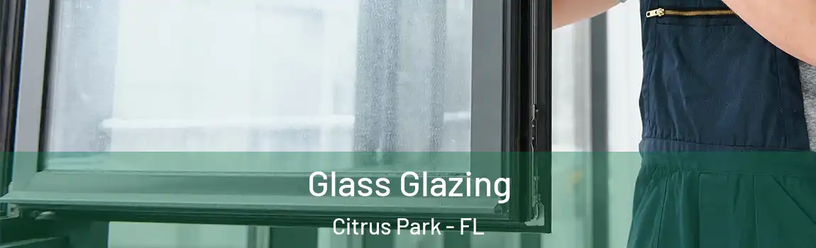 Glass Glazing Citrus Park - FL