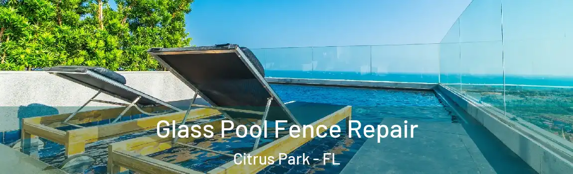 Glass Pool Fence Repair Citrus Park - FL