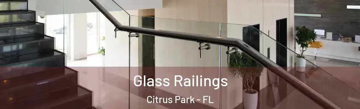 Glass Railings Citrus Park - FL