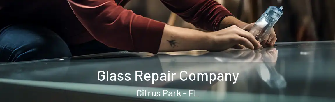 Glass Repair Company Citrus Park - FL