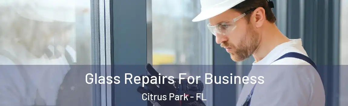 Glass Repairs For Business Citrus Park - FL