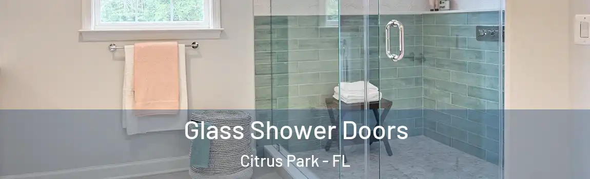 Glass Shower Doors Citrus Park - FL