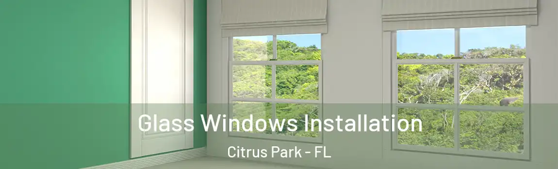 Glass Windows Installation Citrus Park - FL