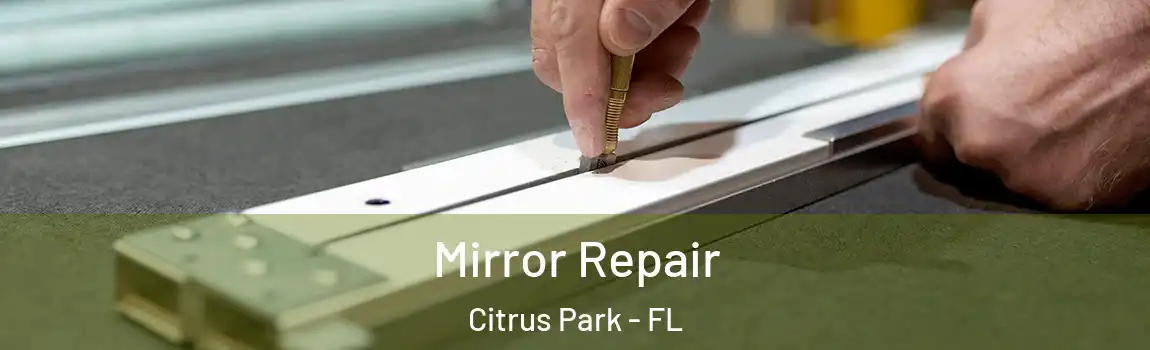 Mirror Repair Citrus Park - FL