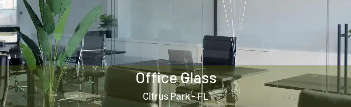Office Glass Citrus Park - FL