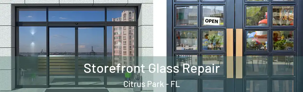 Storefront Glass Repair Citrus Park - FL