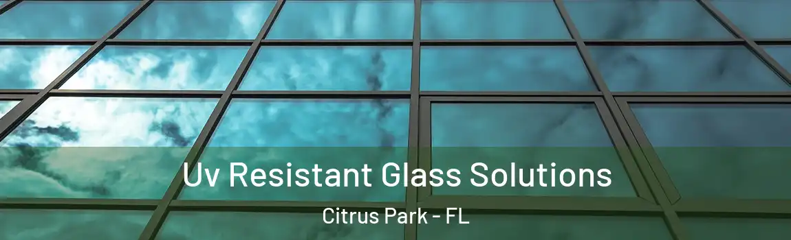 Uv Resistant Glass Solutions Citrus Park - FL