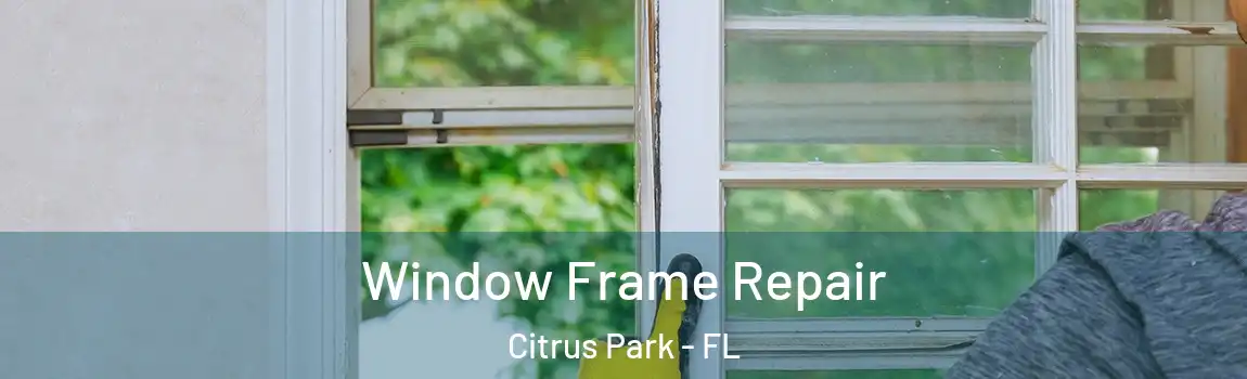 Window Frame Repair Citrus Park - FL
