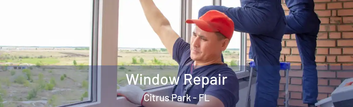 Window Repair Citrus Park - FL