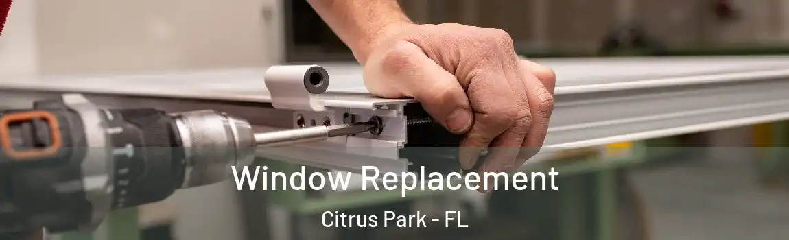 Window Replacement Citrus Park - FL