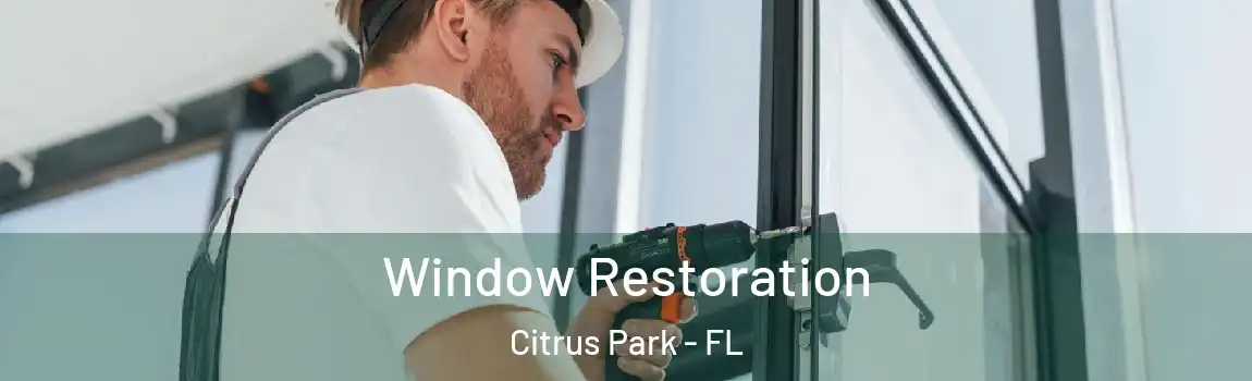 Window Restoration Citrus Park - FL